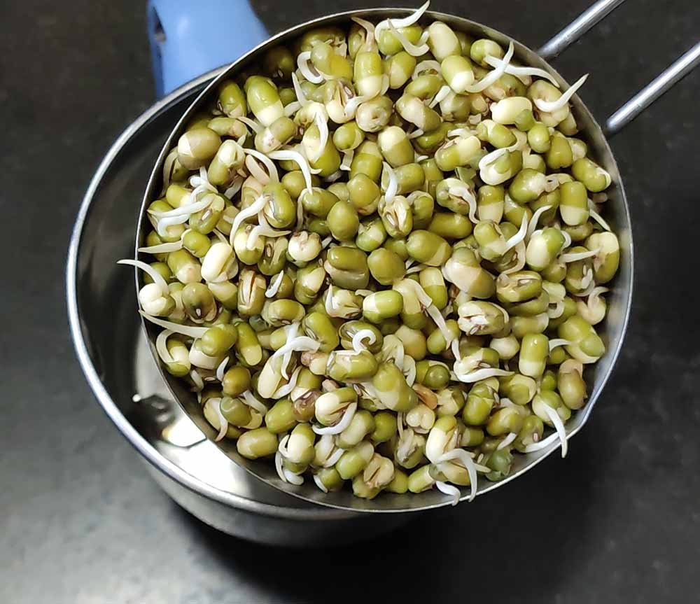 Sprouted Moong Gram