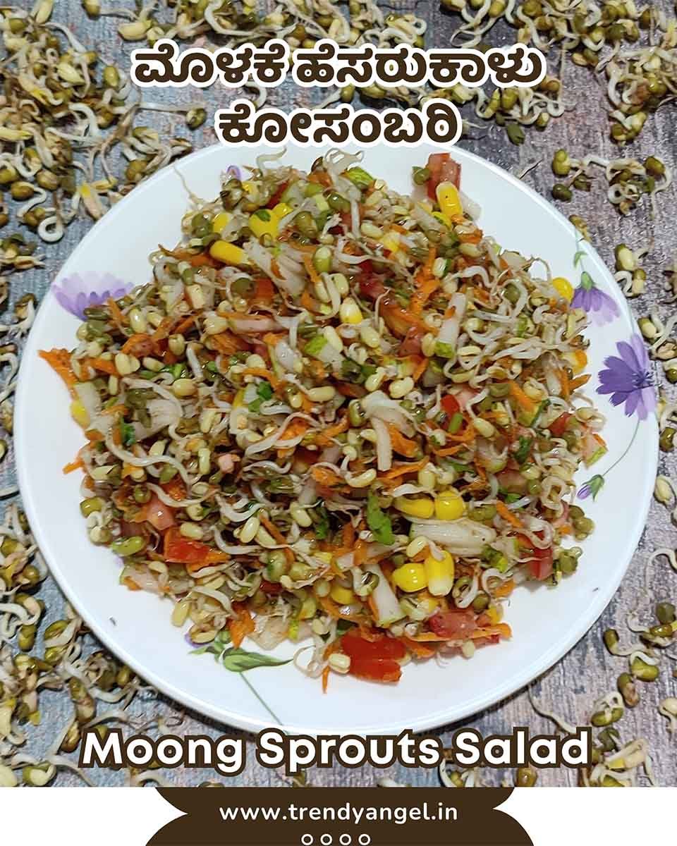 Moong Sprouted Salad